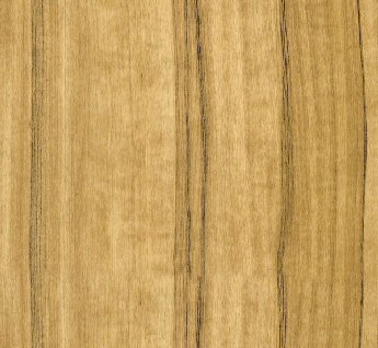  Indian Ebony
