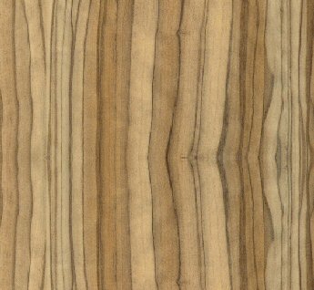  Light Olive High Gloss