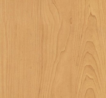  Red Alder