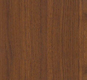  Silver Acacia
