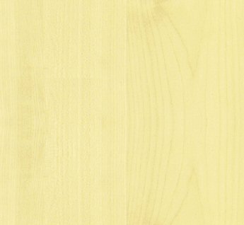  Tansau Maple